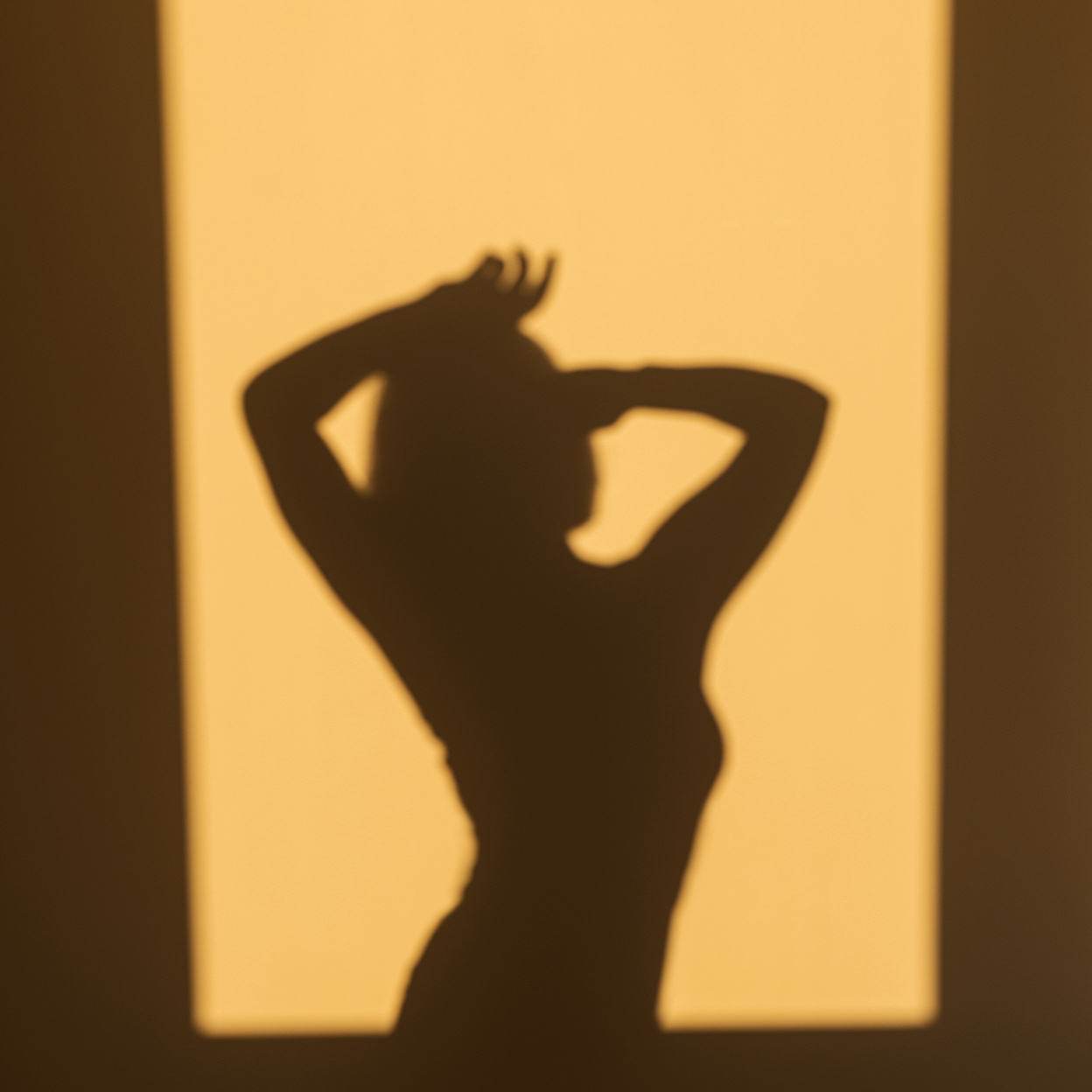 Shadow of a Sexy Woman